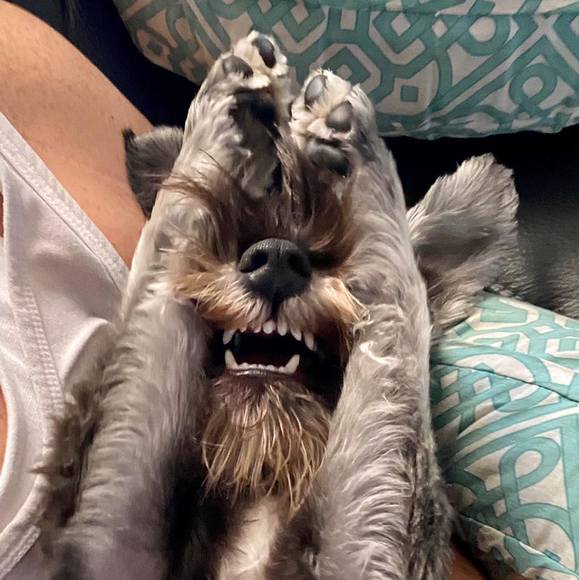 Meet your Posher, Lois - Picture 1 of 1